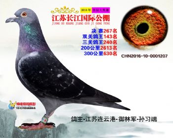江苏长江决赛267名