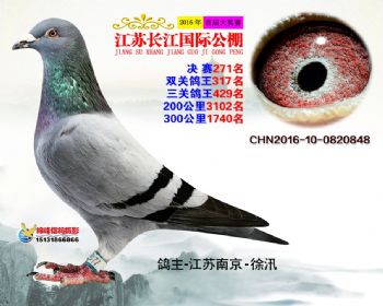 江苏长江决赛271名