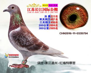 江苏长江决赛272名