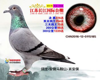 江苏长江决赛276名