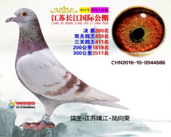 江苏长江决赛280名