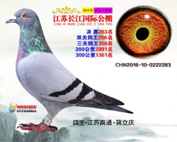 江苏长江决赛283名