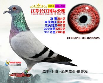 江苏长江决赛284名