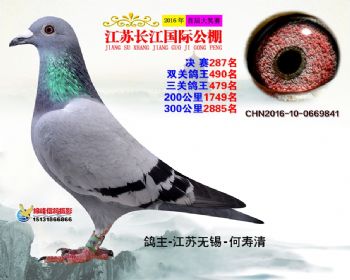 江苏长江决赛287名