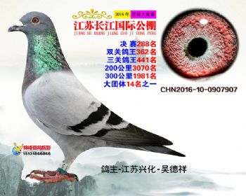 江苏长江决赛288名