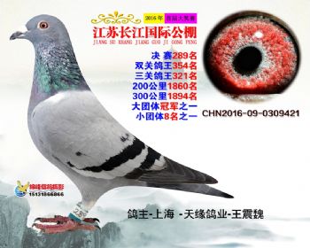 江苏长江决赛289名
