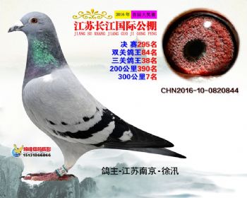 江苏长江决赛295名