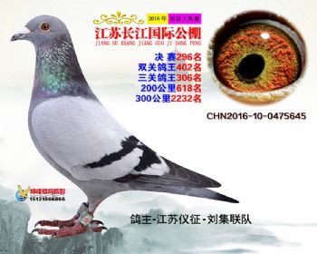江苏长江决赛296名