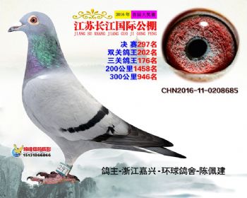 江苏长江决赛297名