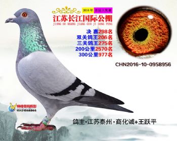 江苏长江决赛298名