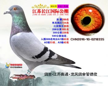 江苏长江决赛299名
