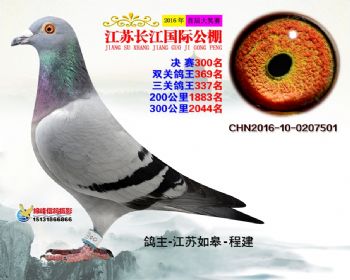 江苏长江决赛300名