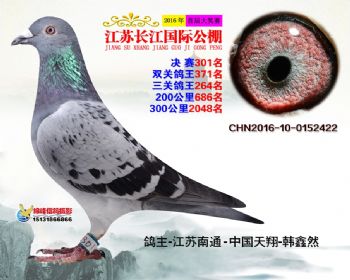 江苏长江决赛301名