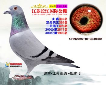 江苏长江决赛302名