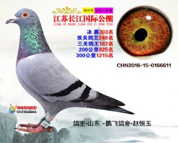 江苏长江决赛303名