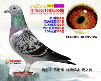 江苏长江决赛304名