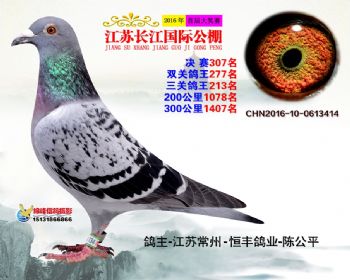 江苏长江决赛307名