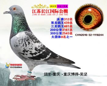 江苏长江决赛312名