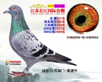 江苏长江决赛317名