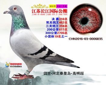 江苏长江决赛318名