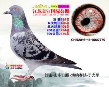 江苏长江决赛319名