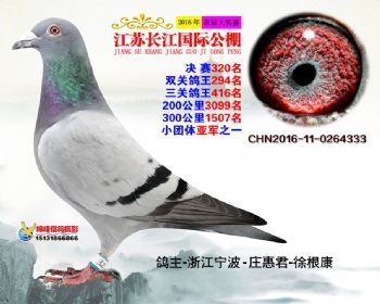 江苏长江决赛320名