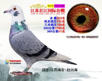 江苏长江决赛333名