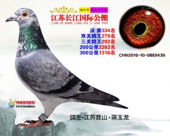 江苏长江决赛334名