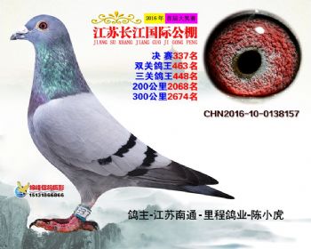 江苏长江决赛337名