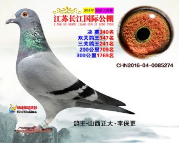 江苏长江决赛340名