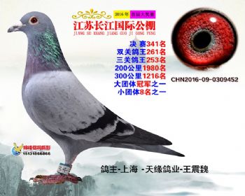 江苏长江决赛341名