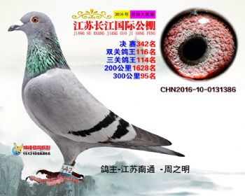 江苏长江决赛342名