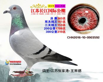 江苏长江决赛343名