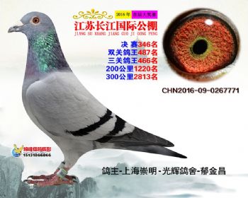 江苏长江决赛346名