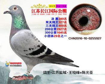 江苏长江决赛349名