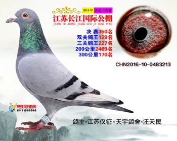 江苏长江决赛350名