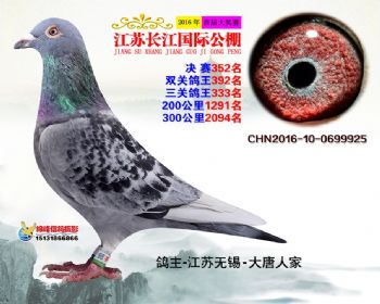 江苏长江决赛352名