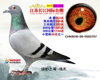 江苏长江决赛353名