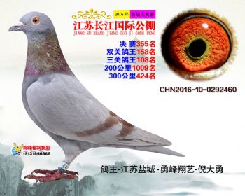 江苏长江决赛355名