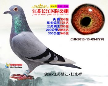 江苏长江决赛358名
