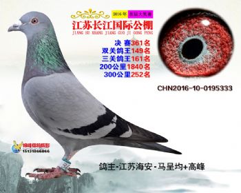江苏长江决赛361名