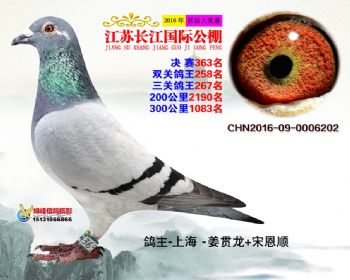 江苏长江决赛363名