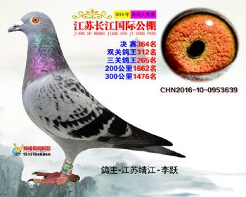 江苏长江决赛364名