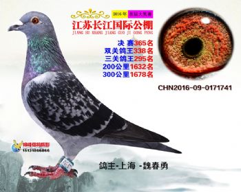 江苏长江决赛365名
