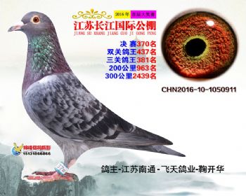 江苏长江决赛370名