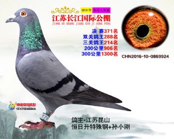 江苏长江决赛371名