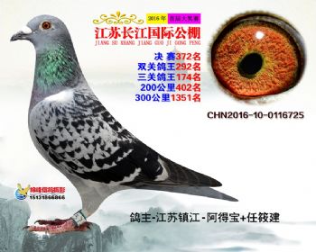 江苏长江决赛372名
