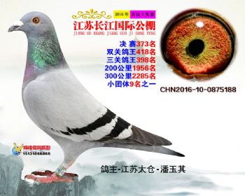 江苏长江决赛373名
