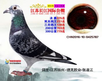 江苏长江决赛375名