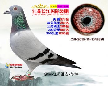 江苏长江决赛378名
